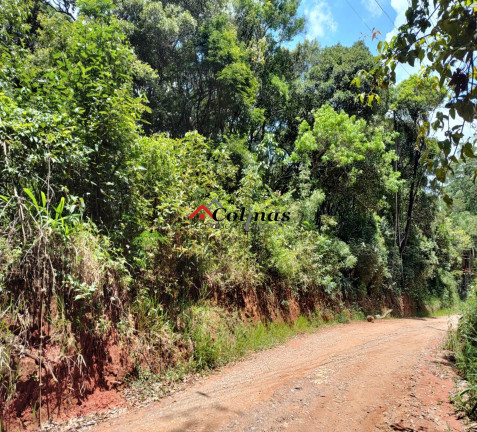 Imagem Terreno à Venda, 2.400 m² em Depois Do Centro - Ibiúna Imagem Terreno à Venda, 2.400 m² em Depois Do Centro - Ibiúna