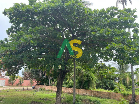 Imagem Terreno à Venda, 836 m² em Praia De Aver O Mar - Sirinhaém
