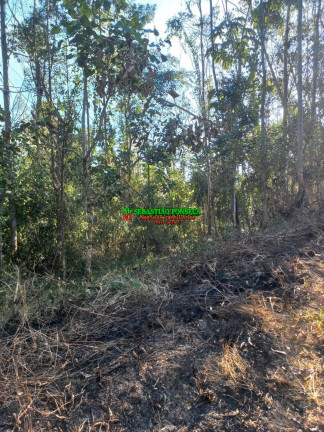 Imagem Chácara à Venda, 20.000 m² em Centro - Monteiro Lobato Imagem Chácara à Venda, 20.000 m² em Centro - Monteiro Lobato