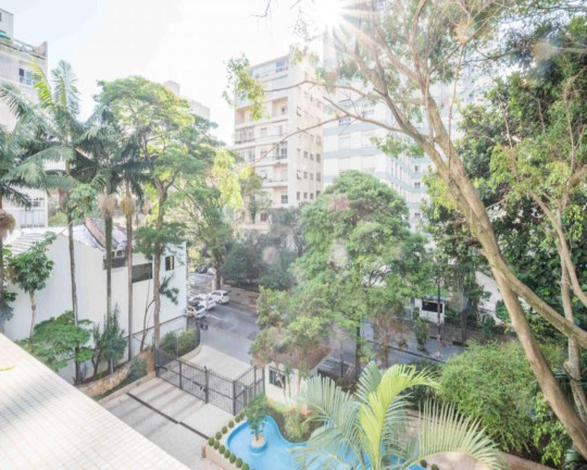 Imagem Apartamento com 4 Quartos à Venda, 300 m² em Higienópolis - São Paulo