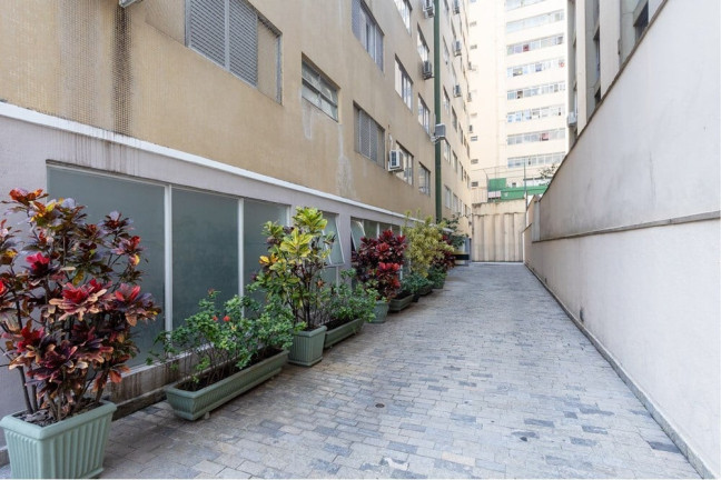 Imagem Apartamento com 3 Quartos à Venda, 123 m² em Jardim Paulista - São Paulo Imagem Apartamento com 3 Quartos à Venda, 123 m² em Jardim Paulista - São Paulo