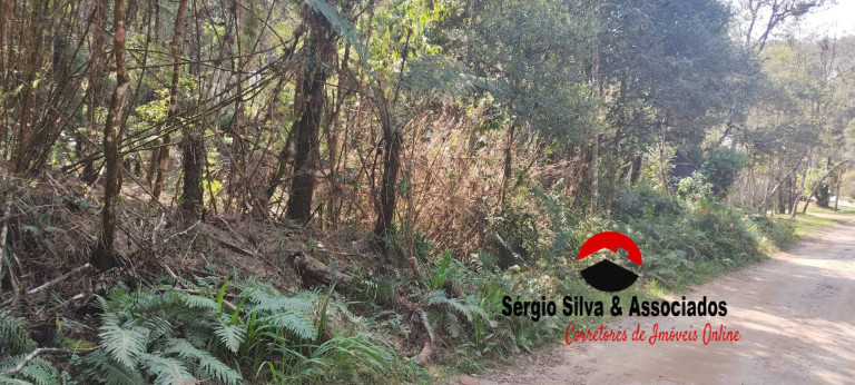 Imagem Terreno à Venda, 1 m² em Campos Do Jordão Imagem Terreno à Venda, 1 m² em Campos Do Jordão