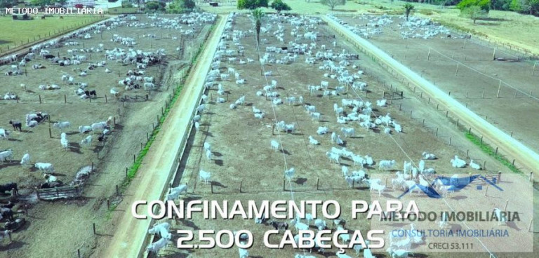 Imagem Fazenda à Venda, 2.085 m² em Rural - Juara Imagem Fazenda à Venda, 2.085 m² em Rural - Juara