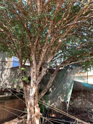 Imagem Casa com 3 Quartos à Venda, 300 m² em Parque São Domingos - São Paulo Imagem Casa com 3 Quartos à Venda, 300 m² em Parque São Domingos - São Paulo
