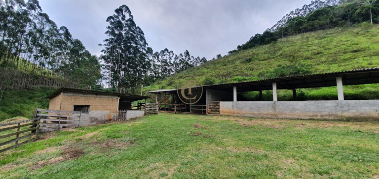 Imagem Fazenda à Venda, 400 m² em Pouso Altinho - Natividade Da Serra Imagem Fazenda à Venda, 400 m² em Pouso Altinho - Natividade Da Serra