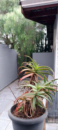 Imagem Casa com 3 Quartos à Venda, 450 m² em Jardim Tapajós - Atibaia Imagem Casa com 3 Quartos à Venda, 450 m² em Jardim Tapajós - Atibaia
