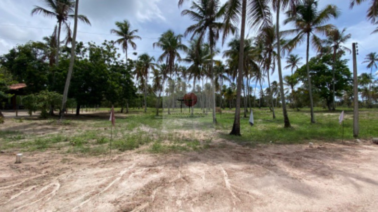 Imagem Terreno à Venda, 200 m² em Carneiros - Tamandaré Imagem Terreno à Venda, 200 m² em Carneiros - Tamandaré