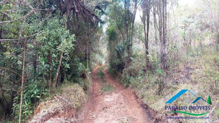 Imagem Terreno à Venda, 38 m² em Centro - Gonçalves
