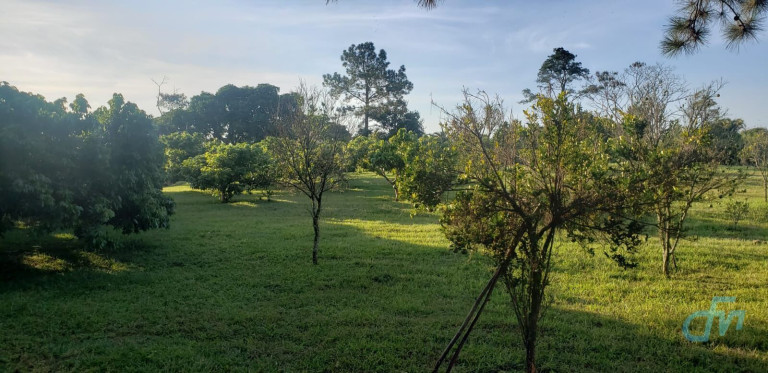 Imagem Imóvel com 4 Quartos à Venda, 36.000 m² em Itapeti - Mogi Das Cruzes