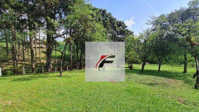 Imagem Chácara com 4 Quartos à Venda, 145.200 m² em Palmitalzinho - Quatro Barras