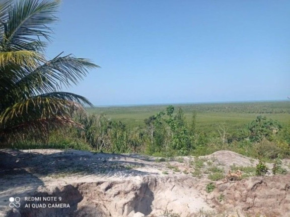 Imagem Fazenda à Venda, 400.000 m² em Ilha De Atalaia - Canavieiras Imagem Fazenda à Venda, 400.000 m² em Ilha De Atalaia - Canavieiras