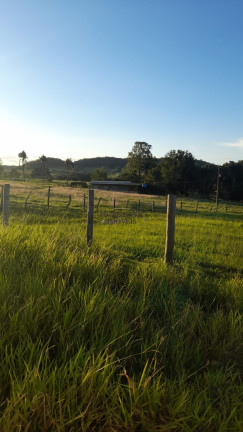 Imagem Imóvel com 5 Quartos à Venda, 130.000 m² em Zona Rural - Bandeirantes Imagem Imóvel com 5 Quartos à Venda, 130.000 m² em Zona Rural - Bandeirantes