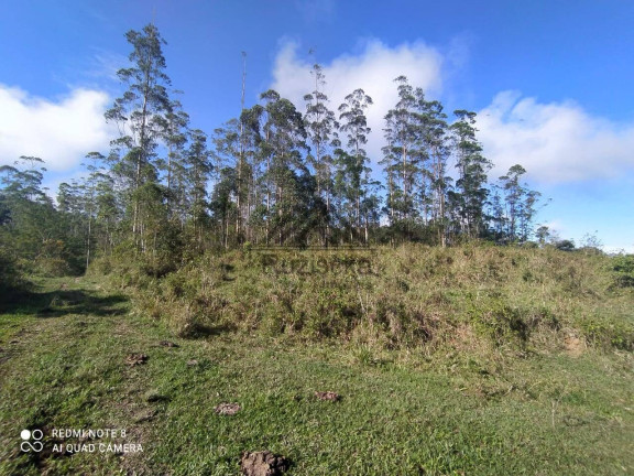 Imagem Chácara à Venda, 11 m² em Centro - Miracatu Imagem Chácara à Venda, 11 m² em Centro - Miracatu