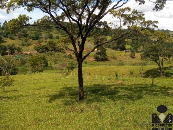 Imóvel à Venda, 21.900 m² em Fazendinhas Pedro Leopoldo Mg - Pedro Leopoldo