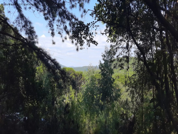 Terreno à Venda,  em Lageana - Gramado