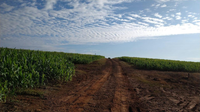 Imagem Fazenda à Venda, 54 m² em Itai - Itaí Imagem Fazenda à Venda, 54 m² em Itai - Itaí