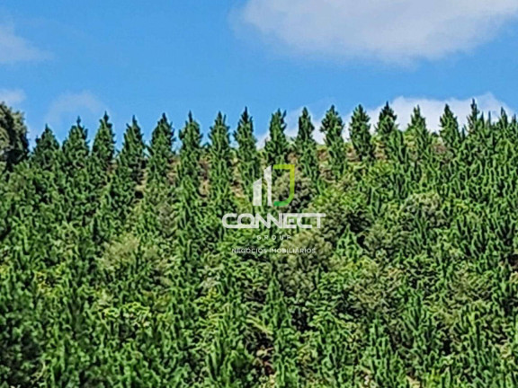 Imagem Fazenda à Venda, 4.477.000 m² em Zona Rural - Bocaiúva Do Sul Imagem Fazenda à Venda, 4.477.000 m² em Zona Rural - Bocaiúva Do Sul