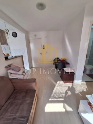 Imagem Apartamento com 2 Quartos à Venda, 56 m² em Palmeiras De São José - São José Dos Campos Imagem Apartamento com 2 Quartos à Venda, 56 m² em Palmeiras De São José - São José Dos Campos