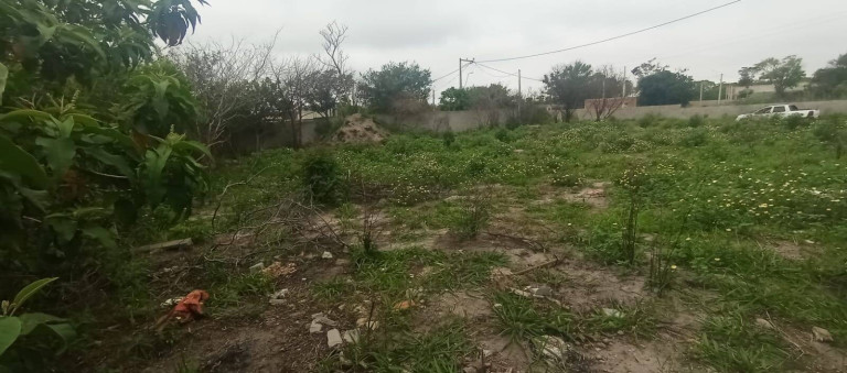 Imagem Terreno à Venda, 450 m² em Armação - Armação Dos Búzios Imagem Terreno à Venda, 450 m² em Armação - Armação Dos Búzios