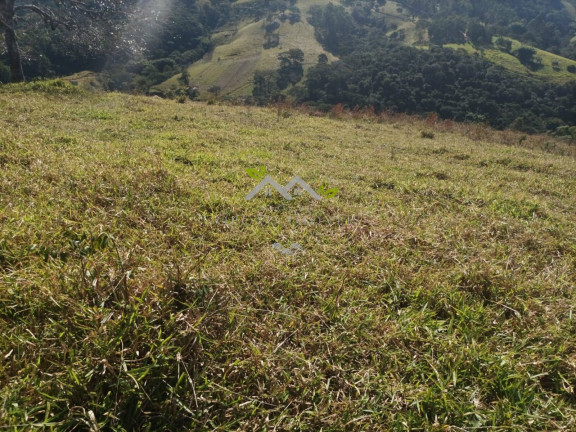 Imagem Terreno à Venda, em Bairro Machadinho - Santo Antônio Do Pinhal Imagem Terreno à Venda, em Bairro Machadinho - Santo Antônio Do Pinhal