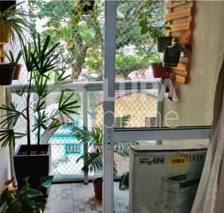 Imagem Apartamento com 2 Quartos à Venda, 50 m² em Vila Guilherme - São Paulo