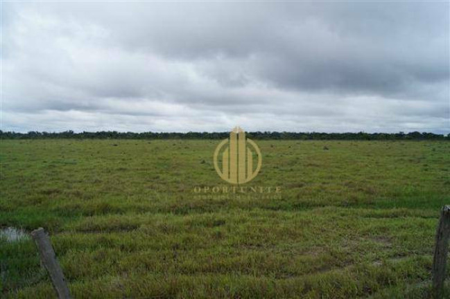 Fazenda à Venda, 1.000 m² em Centro - São Miguel Do Araguaia
