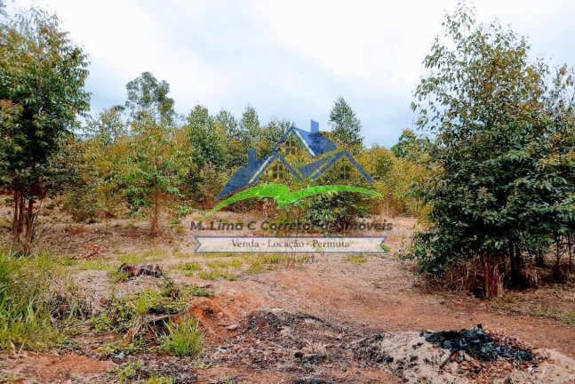 Imagem Chácara com 3 Quartos à Venda, 5.900 m² em Terra Preta - Mairiporã Imagem Chácara com 3 Quartos à Venda, 5.900 m² em Terra Preta - Mairiporã