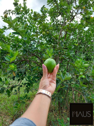 Fazenda à Venda, 29 m² em Centro - Sete Lagoas