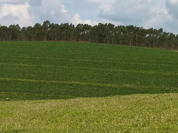 Imagem Fazenda à Venda, 59 m² em Rural - Guareí Imagem Fazenda à Venda, 59 m² em Rural - Guareí
