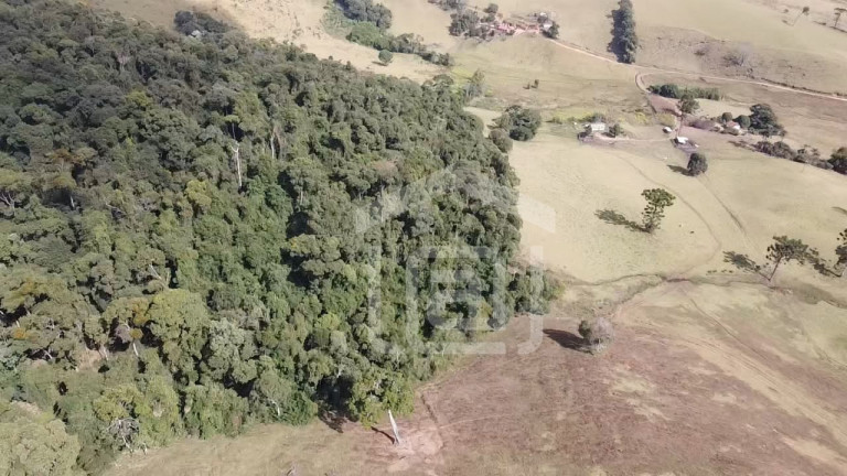 Imagem Imóvel à Venda, 7 m² em Campestrinho - Divinolândia Imagem Imóvel à Venda, 7 m² em Campestrinho - Divinolândia