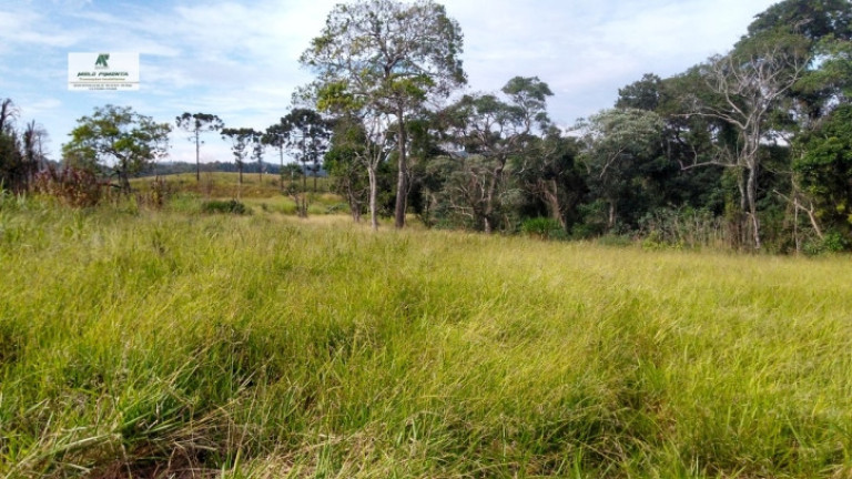 Imagem Terreno à Venda, 235.000 m² em Sorocamirim - São Roque Imagem Terreno à Venda, 235.000 m² em Sorocamirim - São Roque