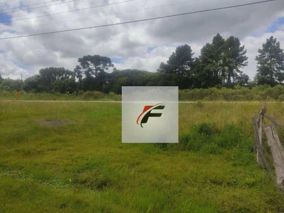 Imagem Terreno à Venda, 44.162 m² em Lapa - Mariental