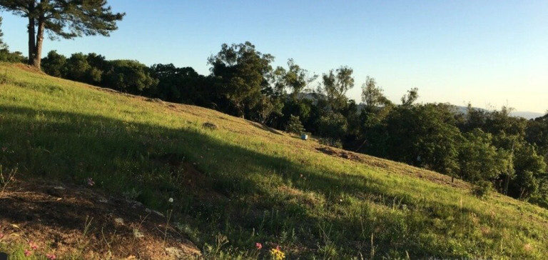 Imagem Terreno à Venda, em Vila Nova - Porto Alegre Imagem Terreno à Venda, em Vila Nova - Porto Alegre