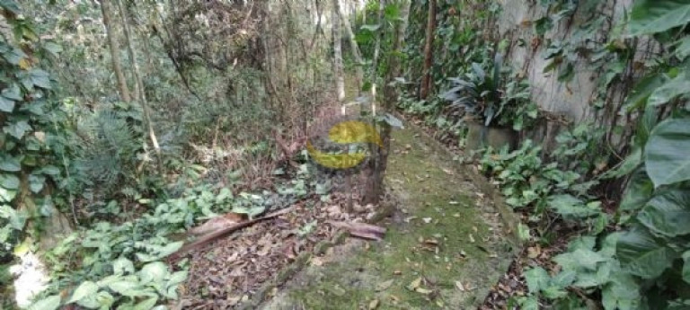 Imagem Terreno à Venda, 2.560 m² em Jardim Colibri - Cotia Imagem Terreno à Venda, 2.560 m² em Jardim Colibri - Cotia