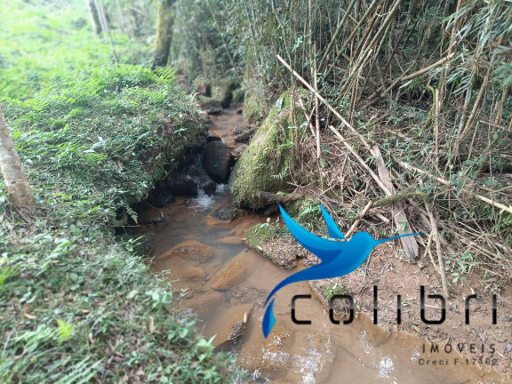 Imagem Chácara à Venda, 13.512 m² em Taquara Lisa - Agudos Do Sul