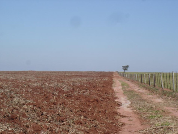Imagem Fazenda à Venda, 3.085 m² em Rural - Assis Imagem Fazenda à Venda, 3.085 m² em Rural - Assis