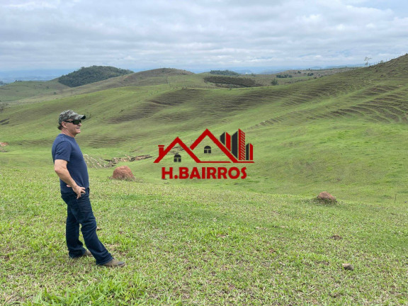 Imagem Fazenda à Venda, 2.226.400 m² em Ponte Nova - Lorena