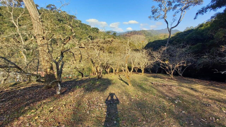 Imagem Chácara com 4 Quartos à Venda, 23 m² em Braunes - Nova Friburgo