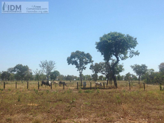 Chácara à Venda, 82.000.000 m² em Centro - Alto Boa Vista