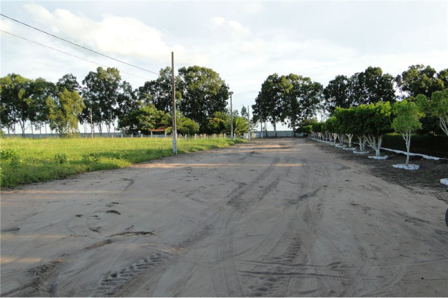 Imagem Terreno à Venda,  em Centro - Cruz Do Espírito Santo