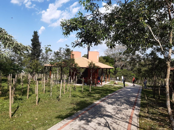 Imagem Terreno à Venda, 391 m² em Tomazetti - Santa Maria Imagem Terreno à Venda, 391 m² em Tomazetti - Santa Maria