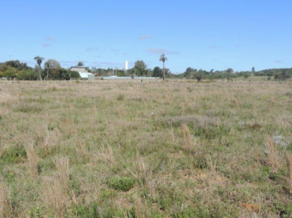 Imagem Terreno à Venda, 1.000 m² em Morro Grande - Viamão