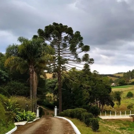 Imagem Chácara com 10 Quartos à Venda, 1.500 m² em Zona Rural - Cunha Imagem Chácara com 10 Quartos à Venda, 1.500 m² em Zona Rural - Cunha
