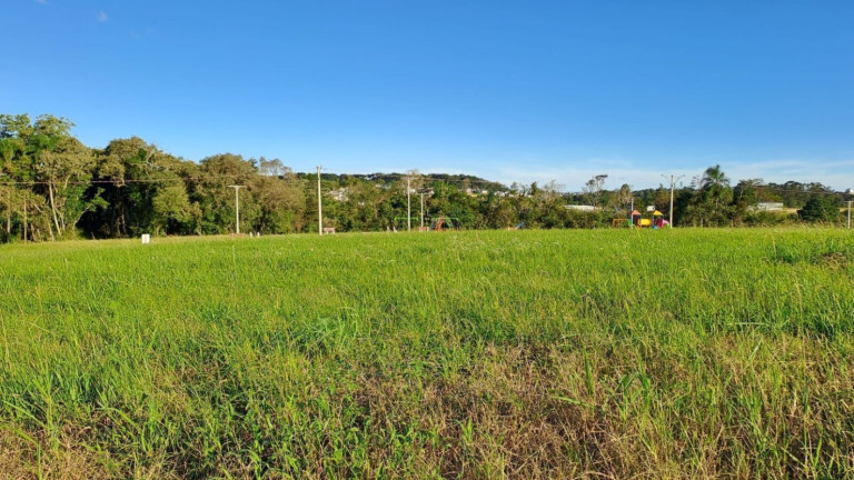Imagem Terreno à Venda, 360 m² em Linha Santa Cruz - Santa Cruz Do Sul Imagem Terreno à Venda, 360 m² em Linha Santa Cruz - Santa Cruz Do Sul