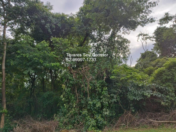 Imagem Terreno à Venda, 560 m² em Condomínio Do Lago - Goiânia