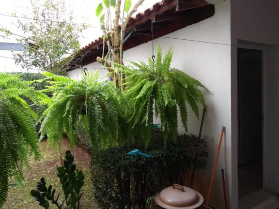 Imagem Sobrado com 3 Quartos à Venda, 376 m² em Jardim Realce - Suzano Imagem Sobrado com 3 Quartos à Venda, 376 m² em Jardim Realce - Suzano