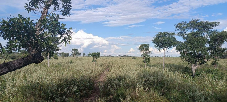 Imagem Fazenda à Venda, 1.200 m² em Rural - Corumbá Imagem Fazenda à Venda, 1.200 m² em Rural - Corumbá