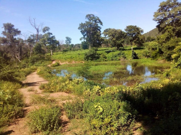 Imagem Fazenda à Venda, 200 m² em Centro - Acorizal Imagem Fazenda à Venda, 200 m² em Centro - Acorizal