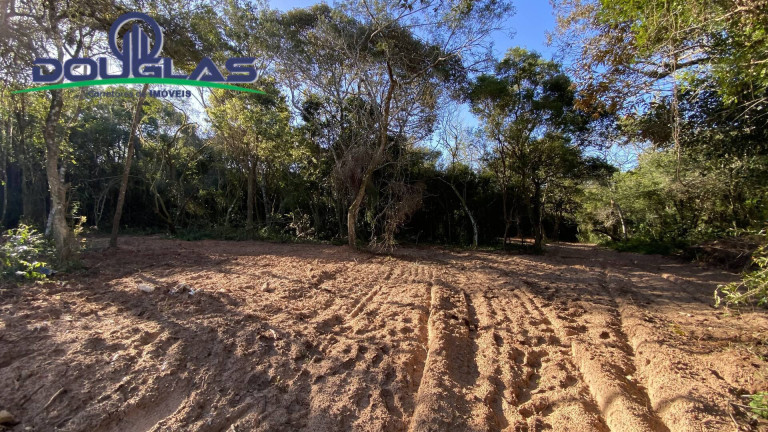 Imagem Terreno à Venda, em águas Claras - Viamão Imagem Terreno à Venda, em águas Claras - Viamão