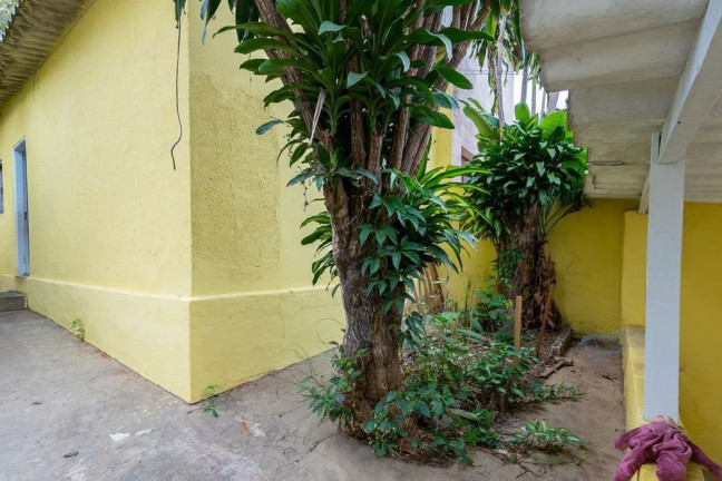 Imagem Casa com 2 Quartos à Venda, 140 m² em Vila Sônia - São Paulo Imagem Casa com 2 Quartos à Venda, 140 m² em Vila Sônia - São Paulo